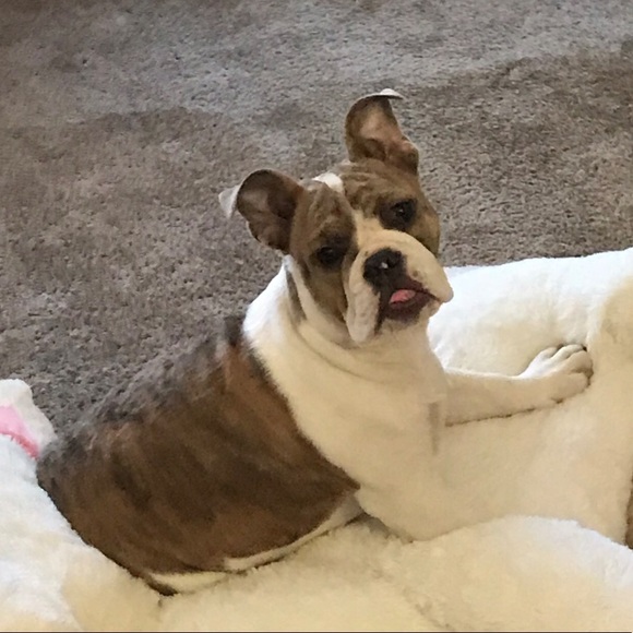 Meet your Posher, Tasha kay - Picture 1 of 1